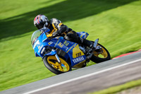 anglesey;brands-hatch;cadwell-park;croft;donington-park;enduro-digital-images;event-digital-images;eventdigitalimages;mallory;no-limits;oulton-park;peter-wileman-photography;racing-digital-images;silverstone;snetterton;trackday-digital-images;trackday-photos;vmcc-banbury-run;welsh-2-day-enduro